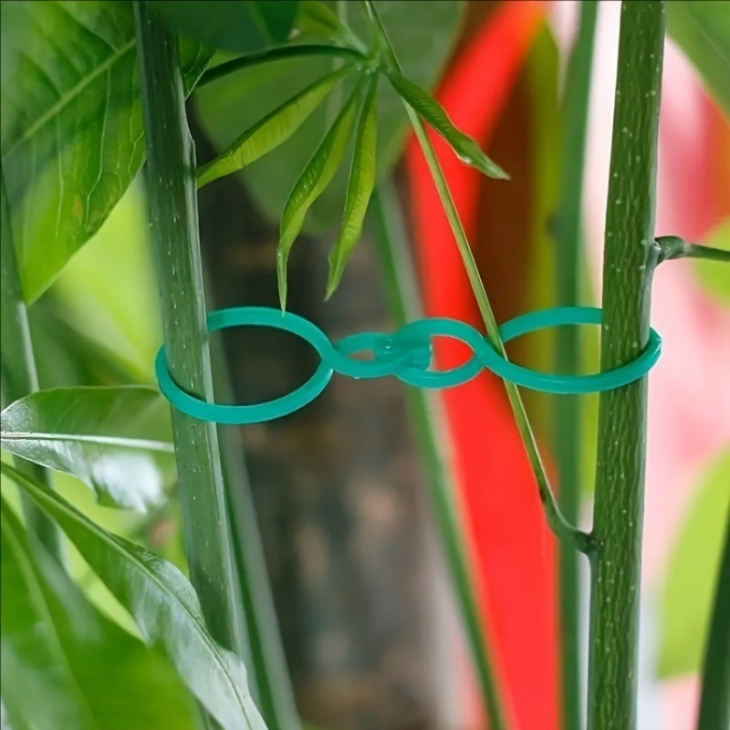 125Pcs Garden Plant Support Ki - огляд і ціна Vine Climbing Plastic