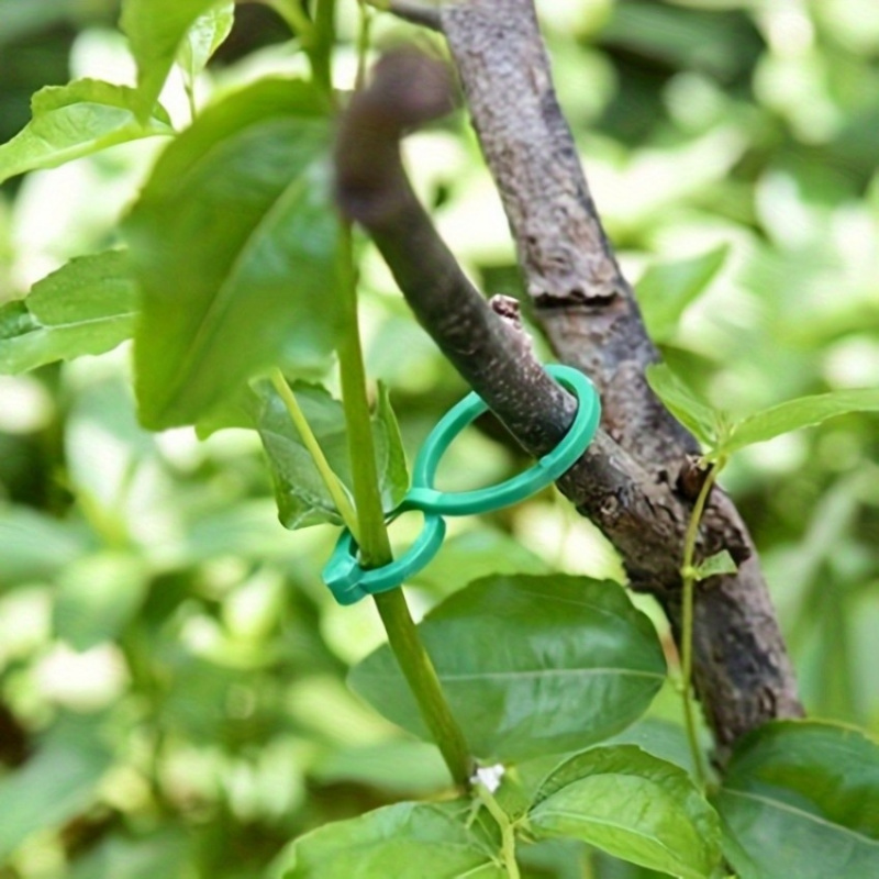 125Pcs Garden Plant Support Ki - огляд і ціна Vine Climbing Plastic
