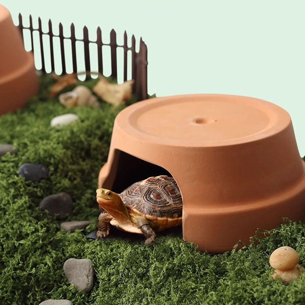 Multifunctional Ceramics Repti - огляд і ціна Hide Cave Ceramic