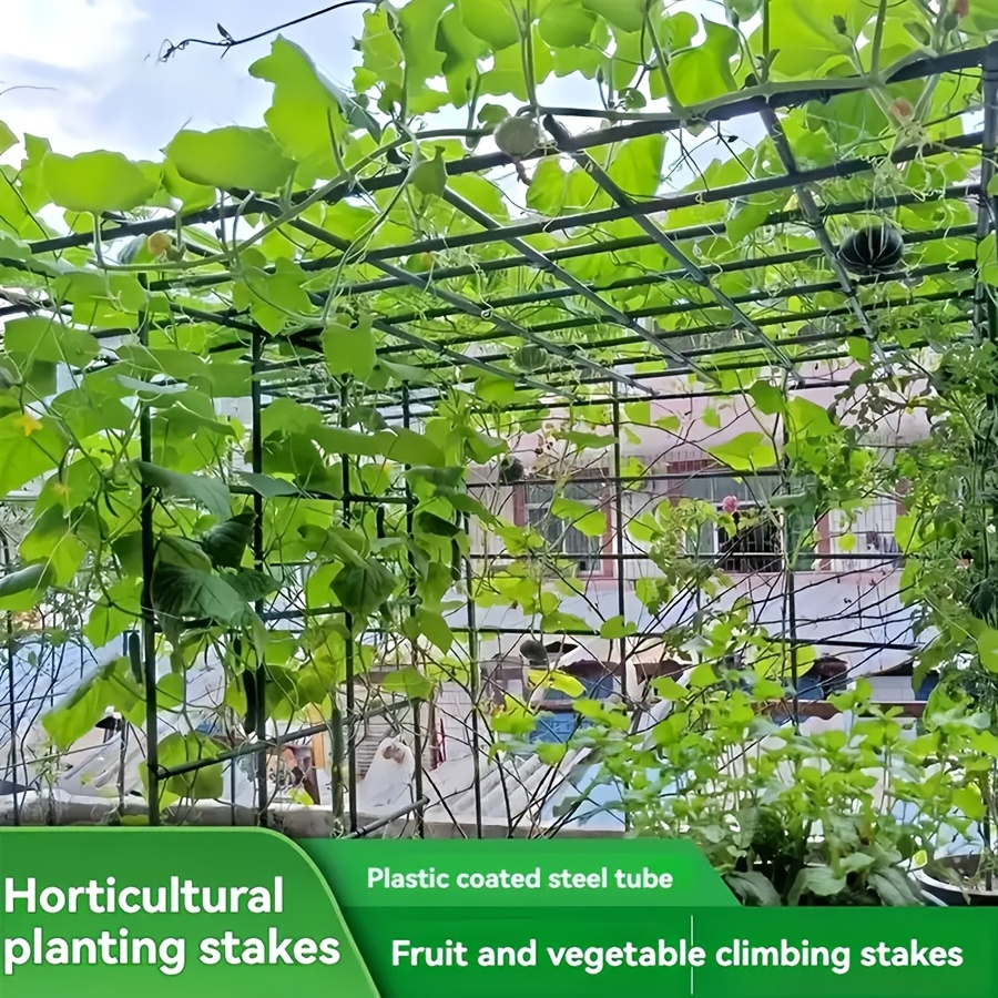 Pop Rustproof Vegetable Climbi - огляд і ціна Vine Climbing Plastic
