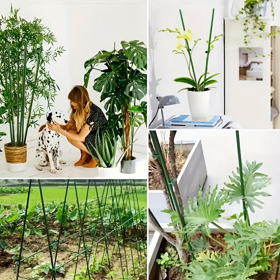 Pop Rustproof Vegetable Climbi - огляд і ціна Vine Climbing Plastic