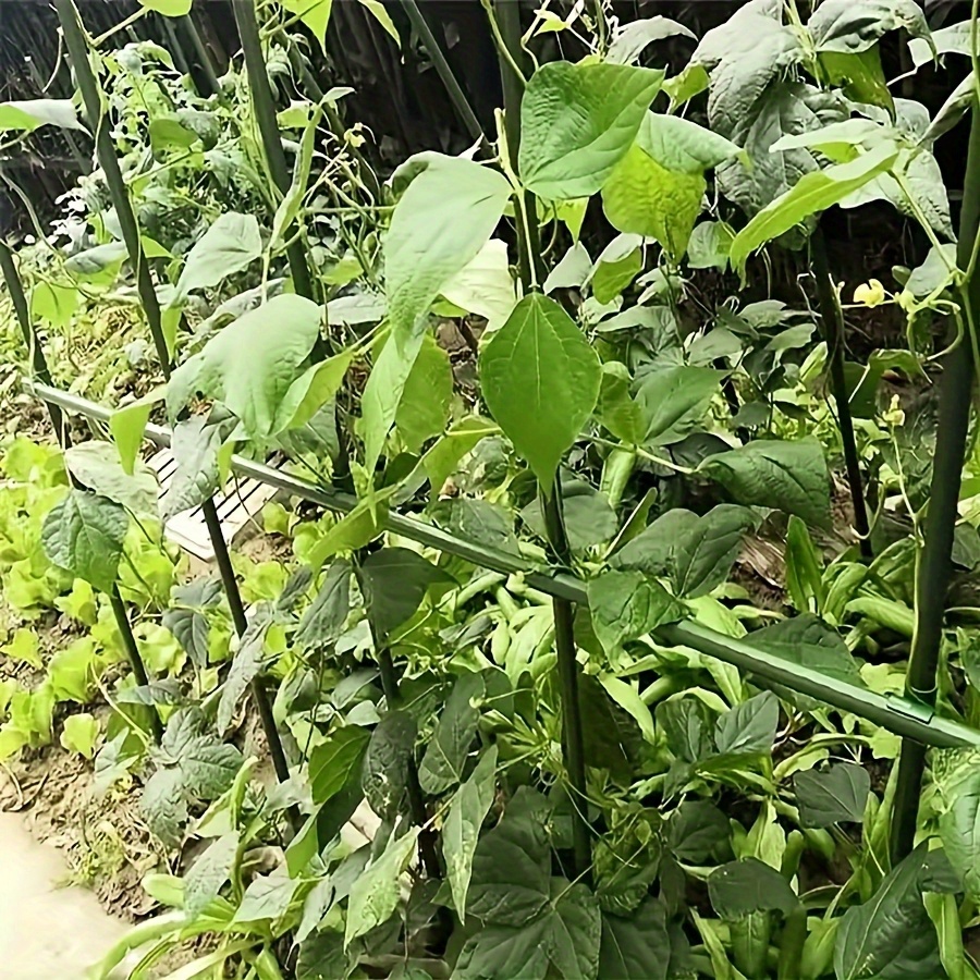 Pop Rustproof Vegetable Climbi - огляд і ціна Vine Climbing Plastic