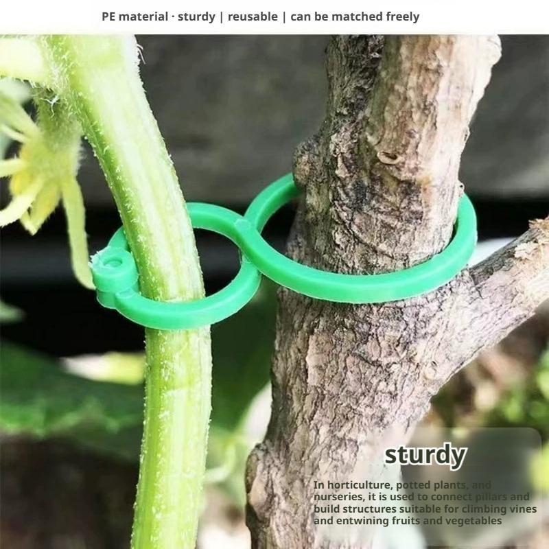 100 Pcs Plant Support Clips He - огляд і ціна Vine Climbing Plastic