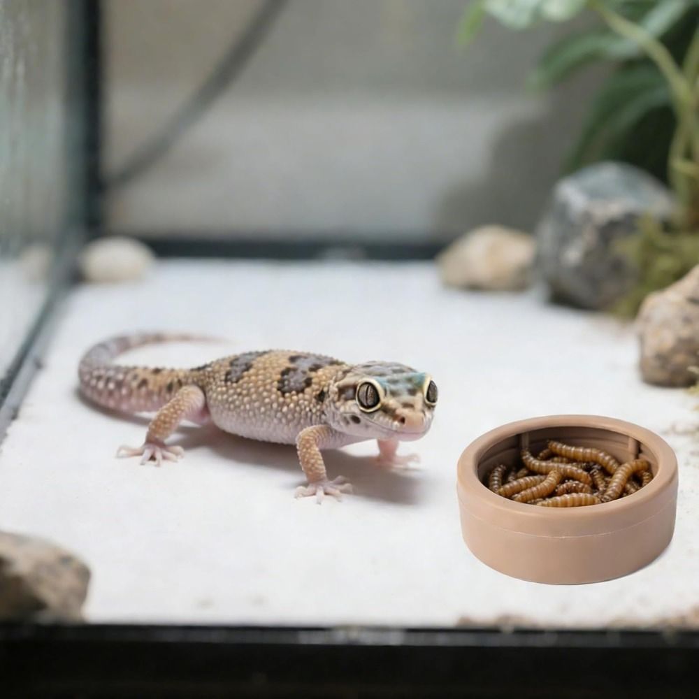 Portable Escape-Proof Reptile  - огляд і ціна Water Dish Reptile