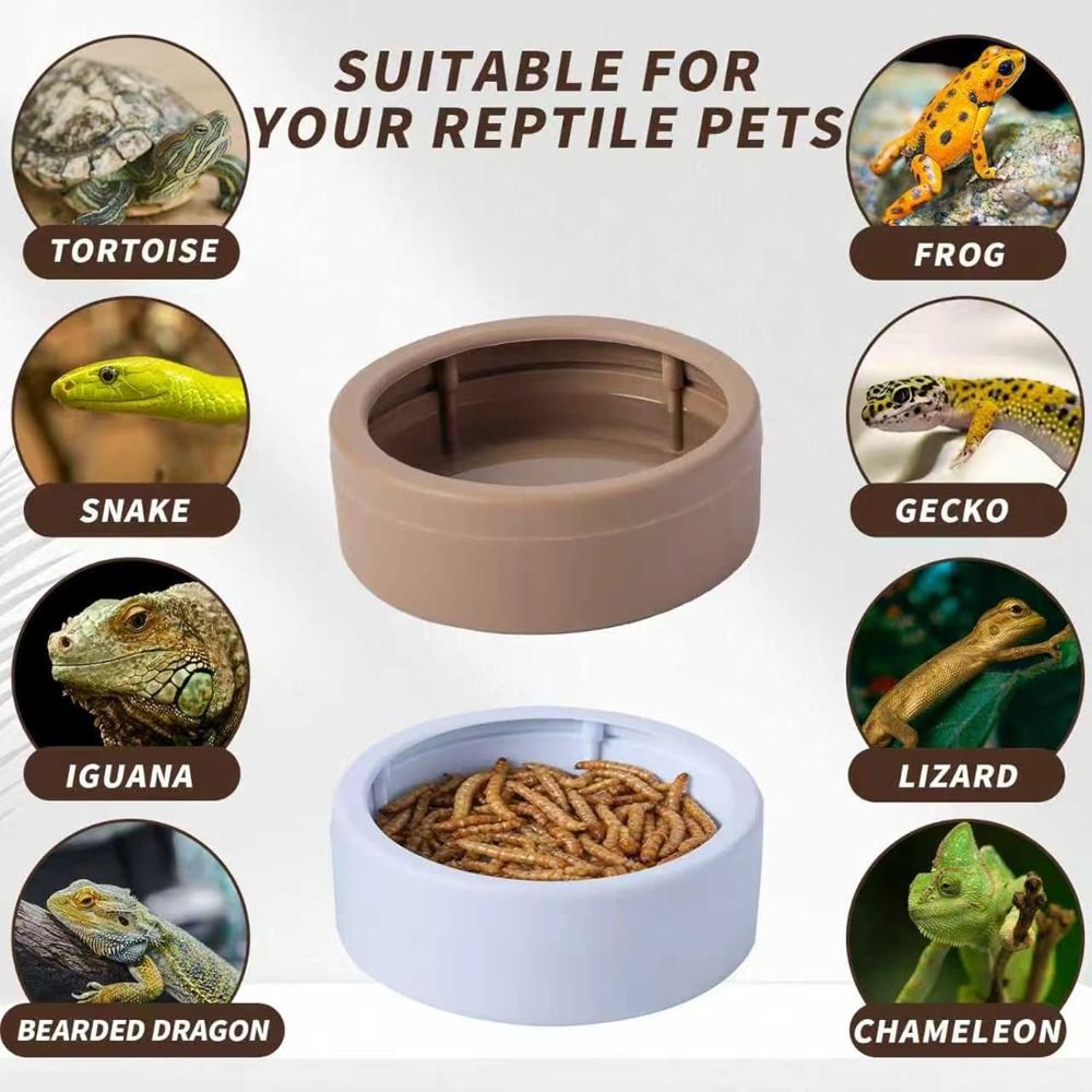 Portable Escape-Proof Reptile  - огляд і ціна Water Dish Reptile
