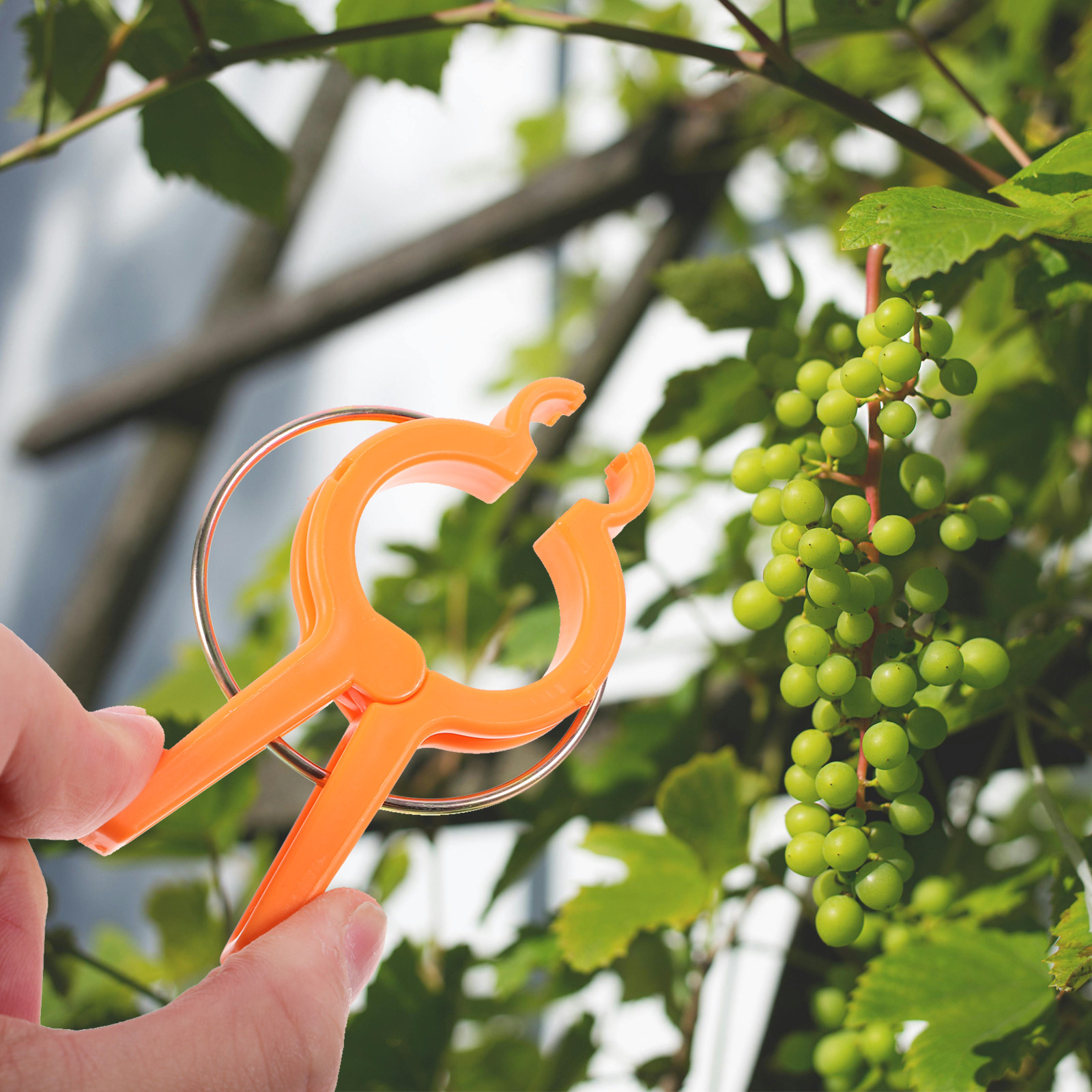 12Pcs Plant Support Clips for  - огляд і ціна Vine Climbing Plastic