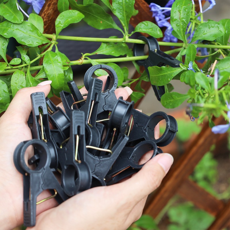 Newly 100/10pcs Plant Support  - огляд і ціна Vine Climbing Plastic
