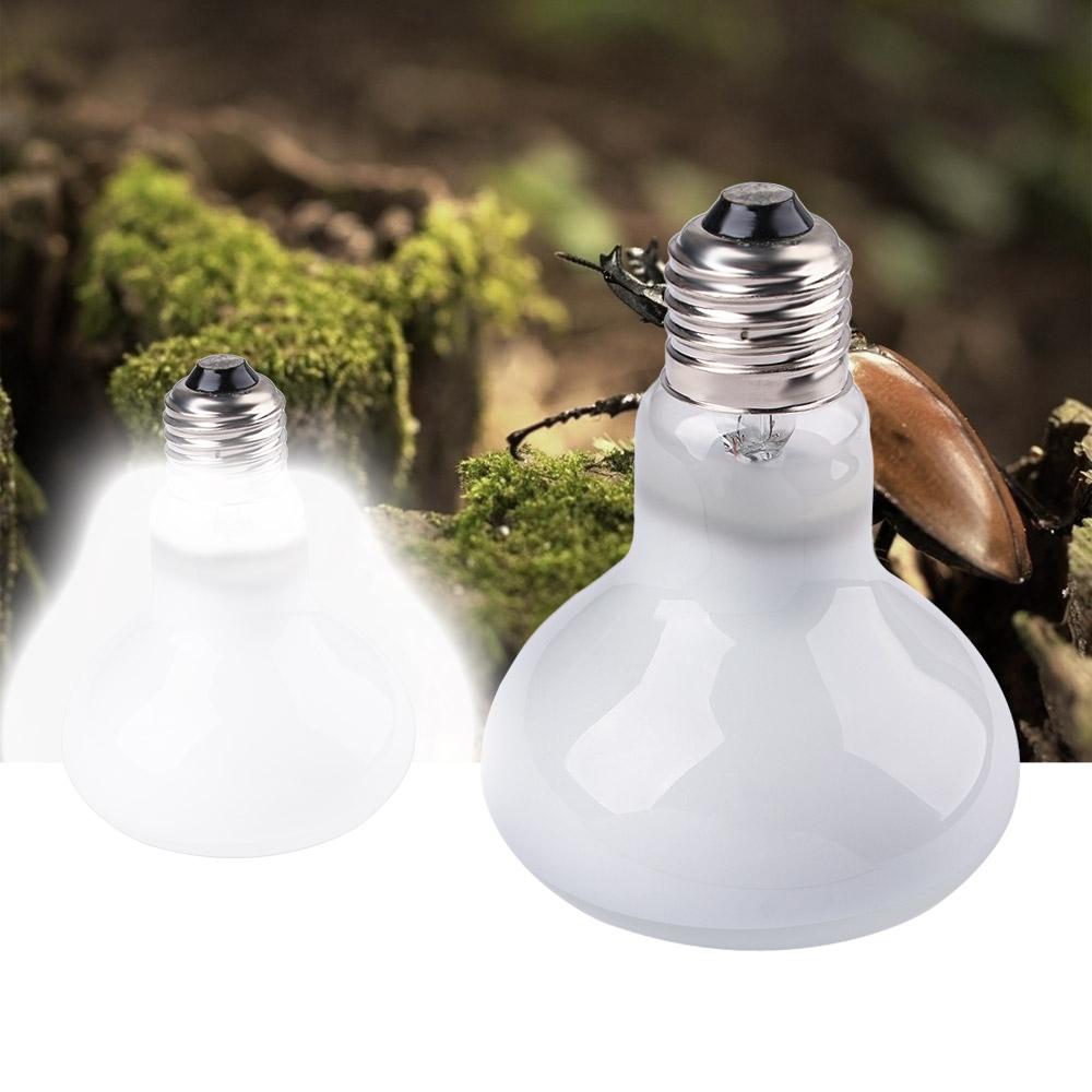 Amphibians Temperature Control - огляд і ціна Basking Bulb Halogen