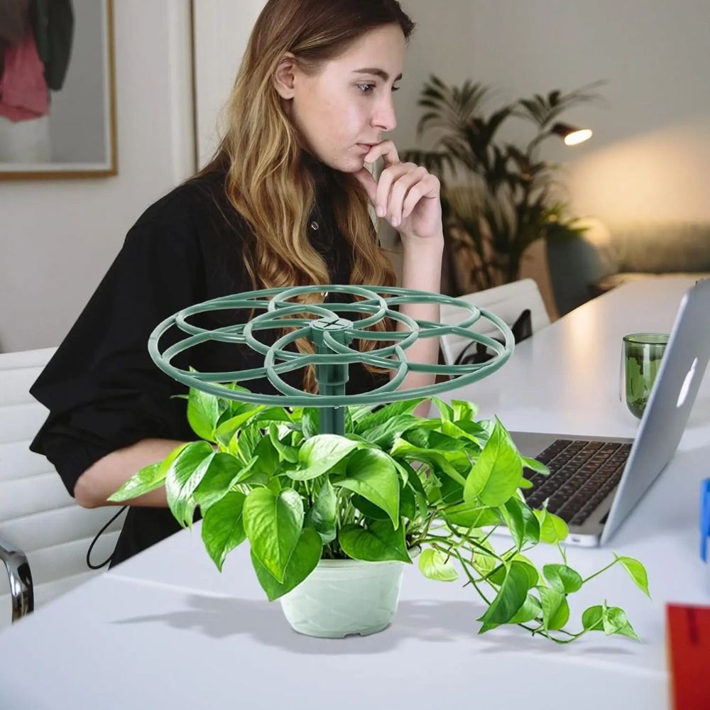 Durable S/M/L Bonsai Climbing  - огляд і ціна Vine Climbing Plastic