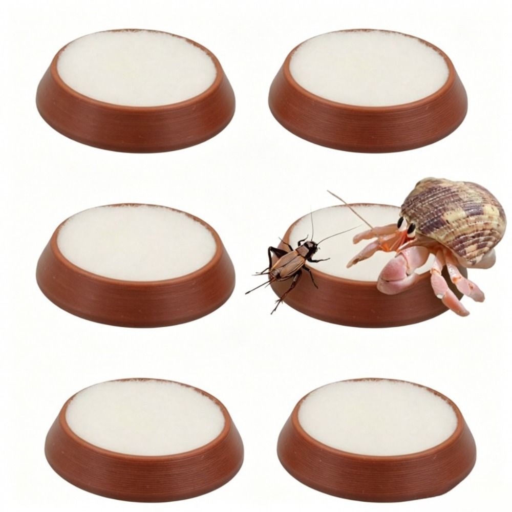 6pcs Portable Reusable Reptile - огляд і ціна Water Dish Reptile