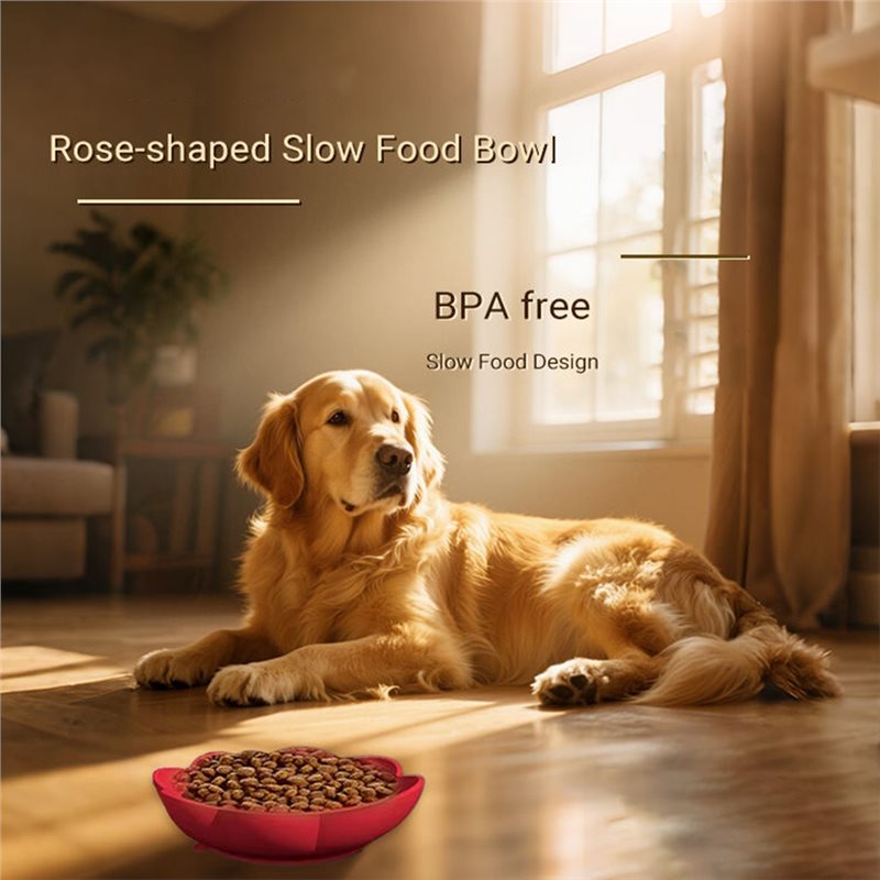 A11E-Pet Supplies Silicone Slo - огляд і ціна Royal Canin Food Medium
