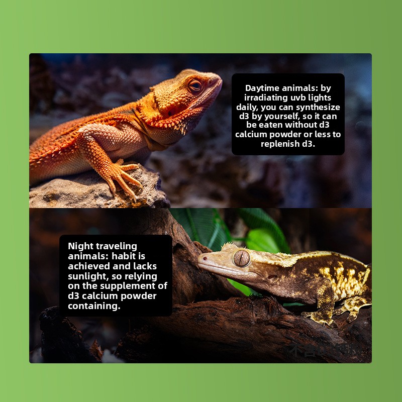 Reptizoo Reptile Calcium Powde - огляд і ціна Vitamin D3 Reptile