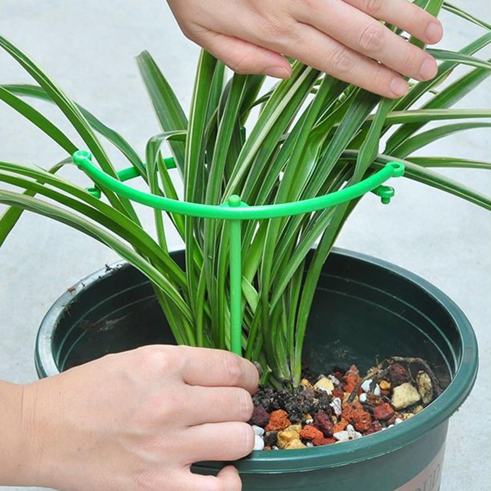 Adjustable Green Checkered Gar - огляд і ціна Vine Climbing Plastic