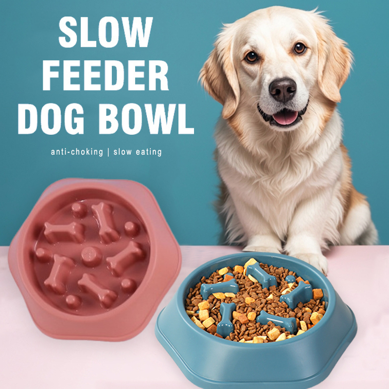 Slow Feeder Dog Bowl Anti-chok - огляд і ціна Royal Canin Food Medium