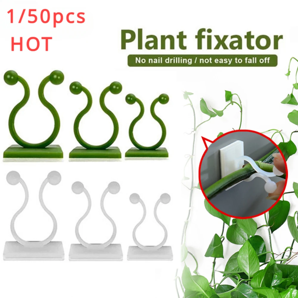 1/30/50Pcs For Garden Accsesor - огляд і ціна Vine Climbing Plastic