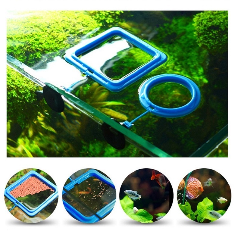 Fish Feeding Ring Feeder Fishi - огляд і ціна Tetra Food Tropical Flakes
