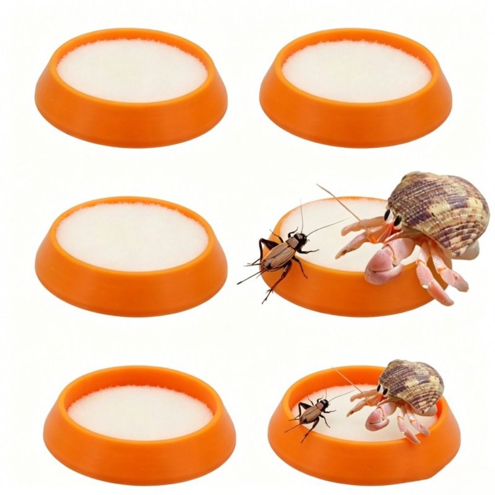 6pcs Portable Reusable Reptile - огляд і ціна Water Dish Reptile