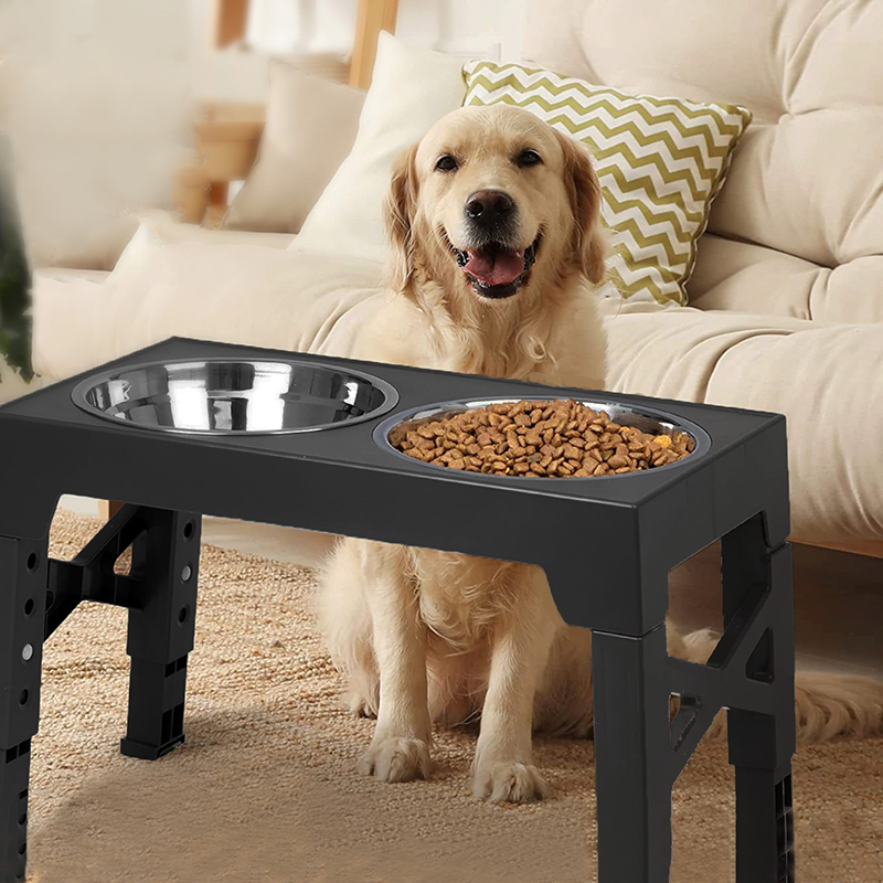 BOOTEELY Elevated Dog Feeder B - огляд і ціна Royal Canin Food Medium