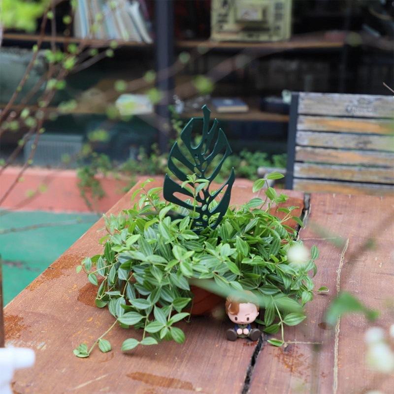 Plant Climbing Support Stand F - огляд і ціна Vine Climbing Plastic