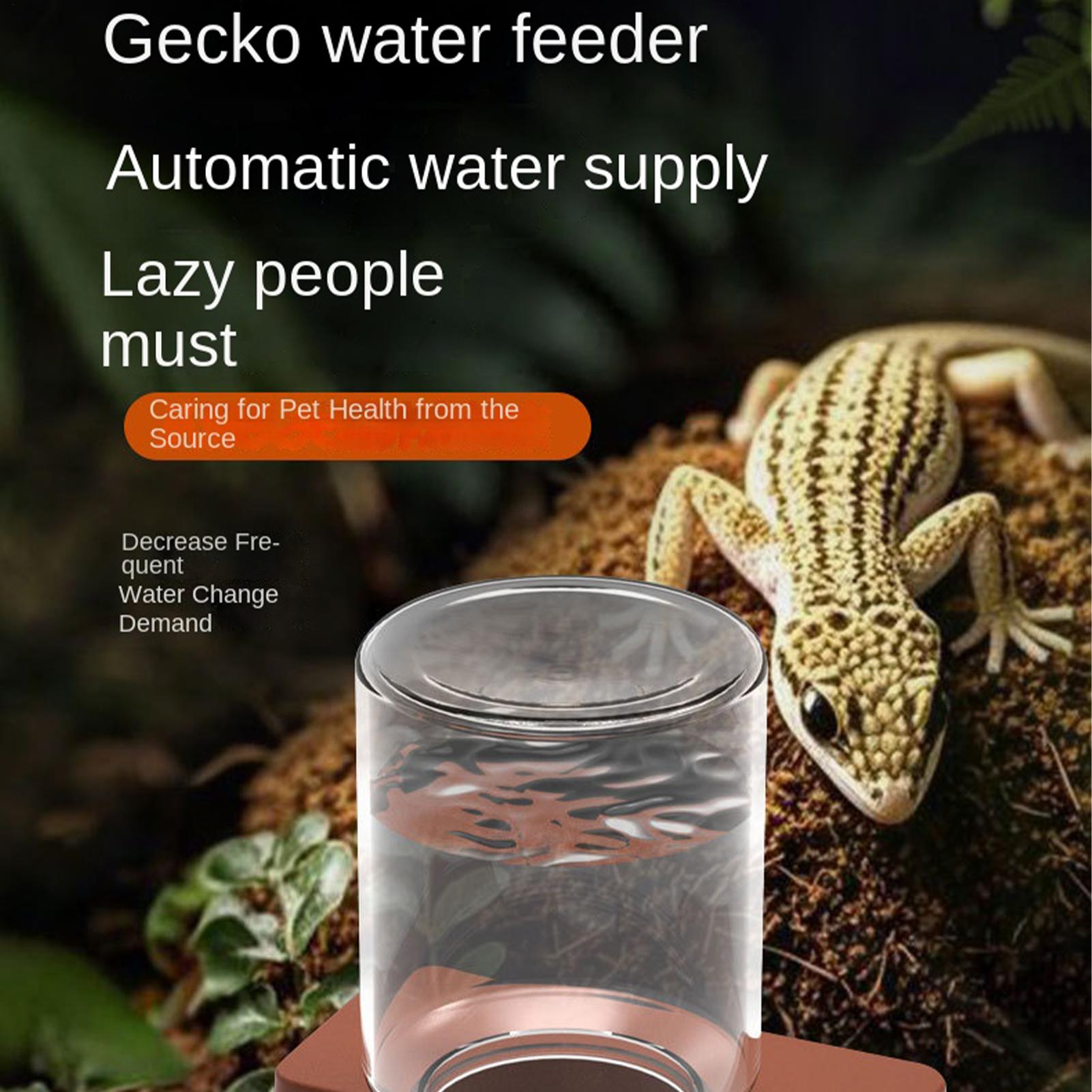 1pc Automatic Reptile Feeder A - огляд і ціна Water Dish Reptile